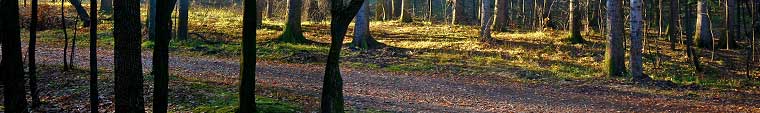 Jahreszeitliche Bilder